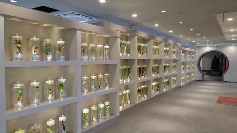 標本展覽館